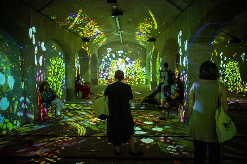 Impressive Monet & Brilliant Klimt -The Immersive Experience - Key highlights worth your time