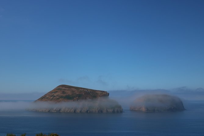 In and Around Terceira Island in a 4X4 - ProIslandTour routes: narrow farm paths, hydrangeas, and basalt walls