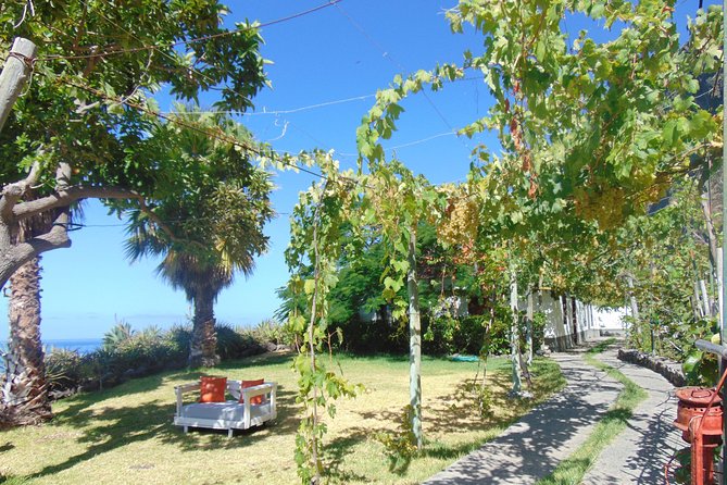 Incredible tour to a 'Faja' with a story - Walking the working farm: organic orchards, sea views, and a pebble beach