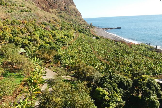 Incredible tour to a 'Faja' with a story - The restaurant terrace: fish and produce with ocean views