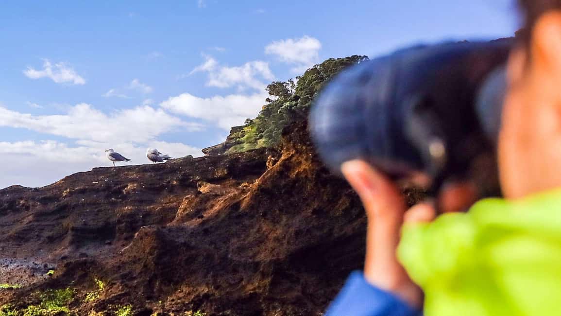 Inside Vila Franca Islet: Guided Nature Reserve Eco Tour - Landing at the islet: a guided walk on volcanic ground