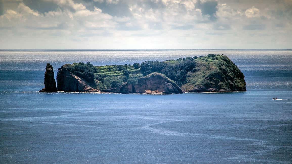 Inside Vila Franca Islet: Guided Nature Reserve Eco Tour - Wildlife spotting: birds, timing, and why autumn/winter matters