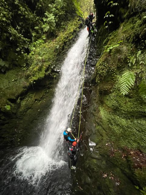 Intermediate Canyoning Madeira - Key highlights worth your attention
