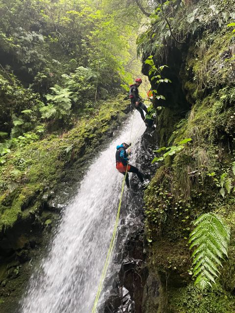Intermediate Canyoning Madeira - The canyoning action: jumps, slides, rappels, and natural pools