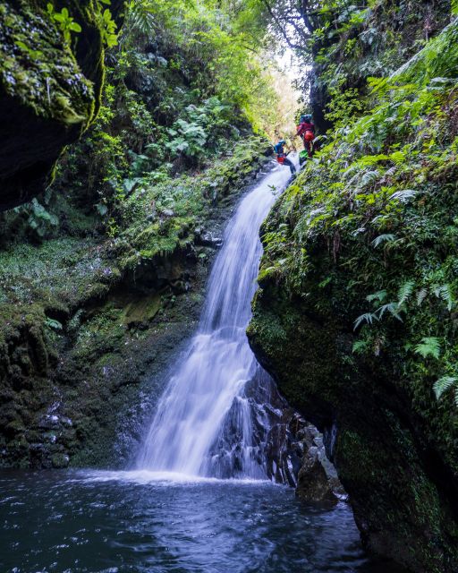 Intermediate Canyoning Madeira - Safety, gear, and the kind of guidance that keeps the day fun