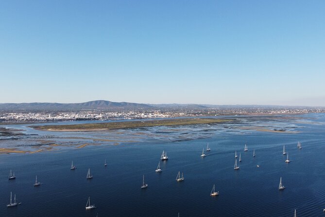 Islands Tour: Half Day Cruise in Ria Formosa Natural Park - Boat Comfort: Small-vessel expectations and where to sit