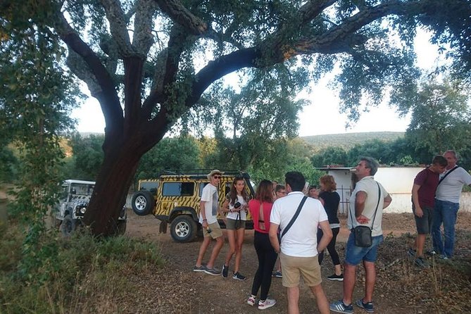 Jeep Safari Tour - Full Day - Stop 4: Moinho do Leitão mill explanation and how grain becomes flour