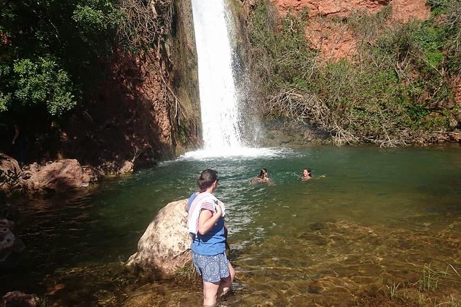 Jeep Safari Tour - Full Day - Food and tastings: pastries, orange juice, and optional restaurant lunch