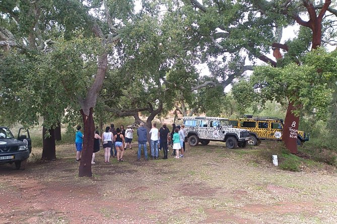 Jeep Safari Tour - Half Day - Alte Village: Narrow Streets, Church and Museum Time, and a Bakery Payday