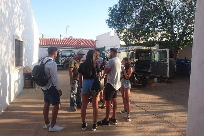 Jeep Safari Tour - Half Day - Your Guide Makes the Difference (Carla, Chad, Gerard, Luis, Jost)