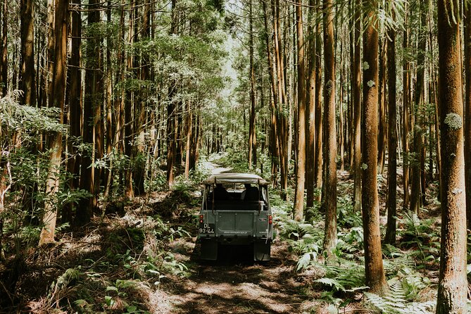 Jeep Safari Tour - Terceira Island FD - Price and value: what $192.22 really covers