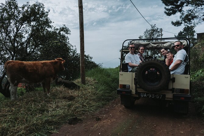 Jeep Tour To ,(Skywalk, Seixal, Porto Moniz, Fanal) - Price and Value: Is $78 Worth It?