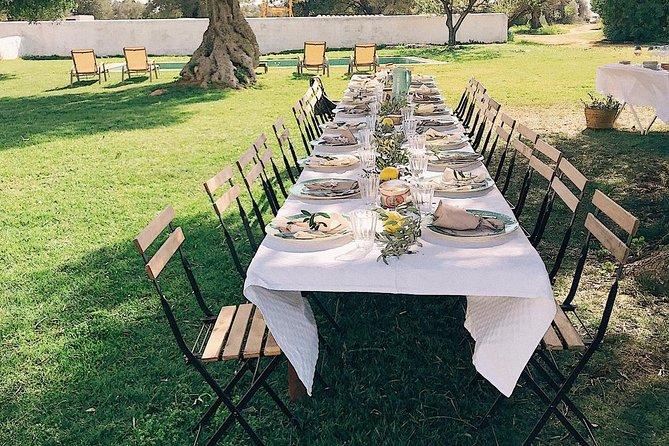 Join In On Our Farmers Table - Entering Morgado do Quintão: olive press vibes and Negramole vines