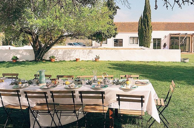 Join In On Our Farmers Table - What to expect during the vines visit and property stroll