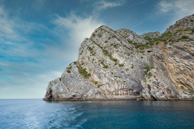 Kayak Adventure in Sesimbra - The Heart of Arrábida Natural Park - Getting started at Time Out Market, without the stress