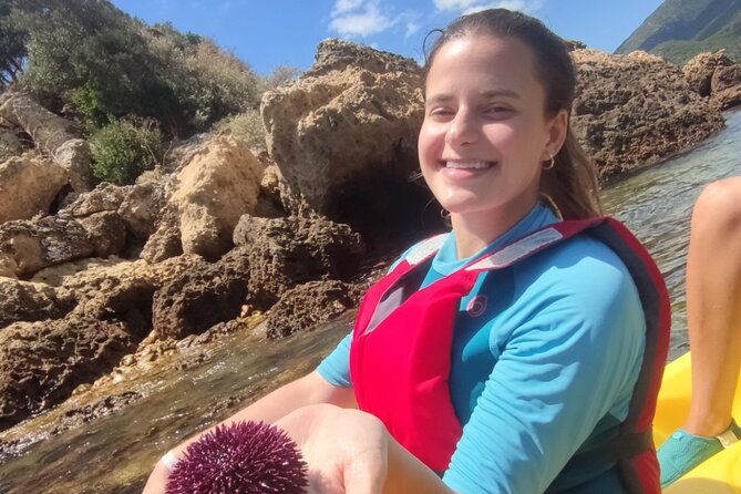 Kayak and Snorkeling Adventure in Lisbon - Snorkeling in Arrábida: Cold Water, Kelp Forest, and Wildlife Chances