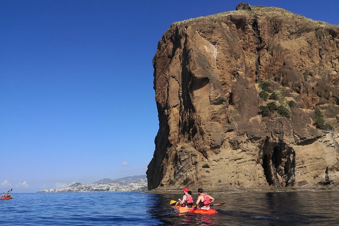 Kayak and Snorkeling Tour in Underwater Nature Reserve Garajau - What You’ll See While Snorkeling: Fish, Possibilities, and Real Expectations