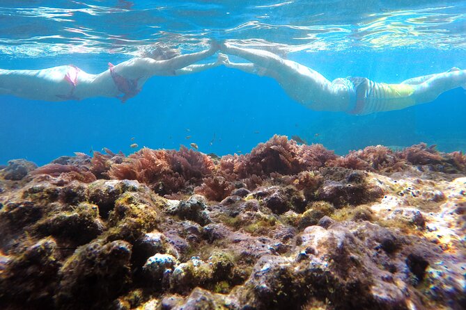 Kayak and Snorkeling Tour in Underwater Nature Reserve Garajau - Price and Value: Is $59.26 a Fair Deal?