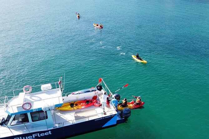 Kayak Experience in Ponta da Piedade - Safety and skill level: why beginners feel comfortable