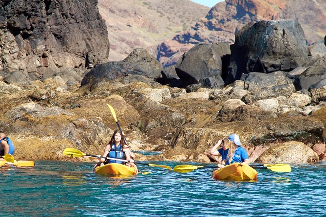 Kayak Experience @ Ponta de São Lourenço - Safety, lifejackets, and wildlife spotting without the stress