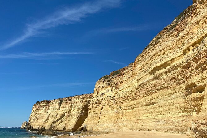 Kayak Tours with Amazing Caves, sea life and Marine Biologist . - Key highlights at a glance