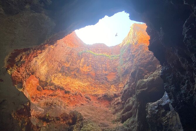 Kayak Tours with Amazing Caves, sea life and Marine Biologist . - Why Ferragudo Kayak Caves Feel Better Than Motorboats