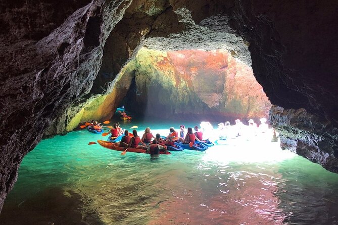 Kayak Tours with Amazing Caves, sea life and Marine Biologist . - Fitness and Swimming Reality Check