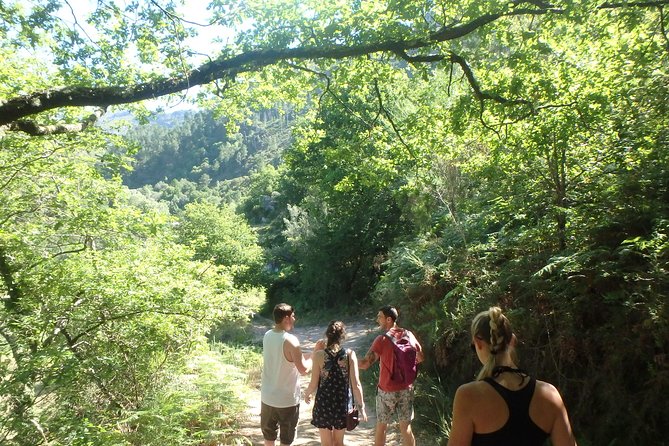 Kayaking and Waterfall in Peneda-Gerês National Park from Porto - Weather and route adjustments: what to do if the forecast shifts