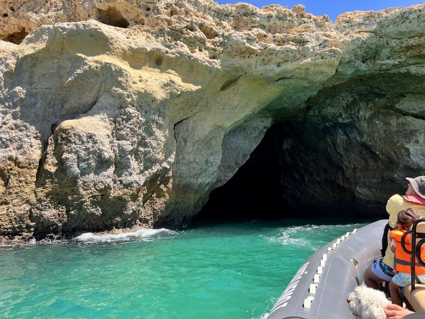 Lagoa: Benagil Caves & Praia da Marinha with biologist guide - Wildlife and the Biologist Guide: More than just scenery