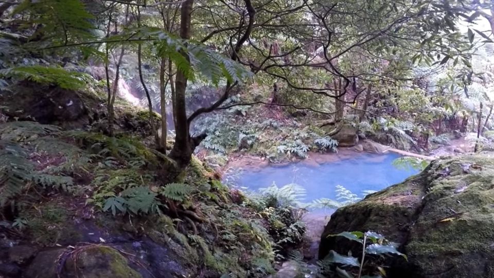 Lagoa do Fogo: Biologist-guided Volcano e-Tour +Hot Springs - The science walk: endemic flora and eruption evidence in plain language