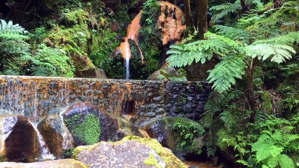 Lagoa do Fogo: Biologist-guided Volcano e-Tour +Hot Springs - Why the guide quality matters more than the name