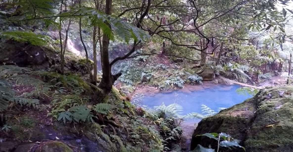Lagoa do Fogo: Biologist-guided Volcano e-Tour +Hot Springs - Lagoa do Fogo: a 15,000-year crater you can actually read