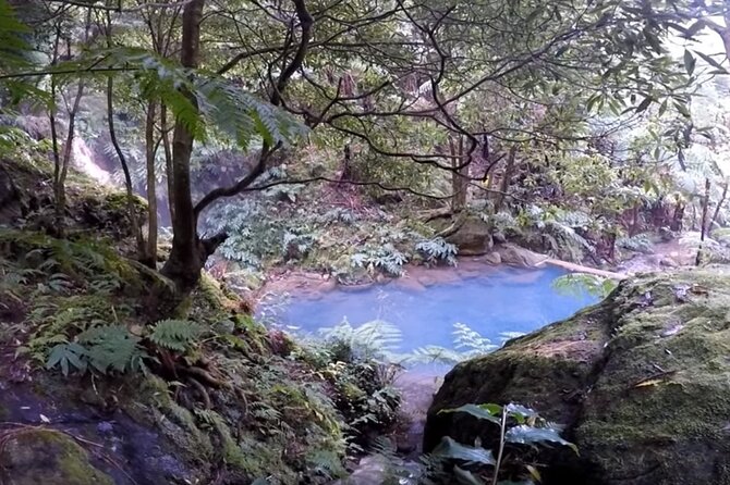 Lagoa do Fogo: Biologist-guided Volcano Geo Tour +hotsprings bath - Hot springs at Caldeira Velha: Optional, but plan for it