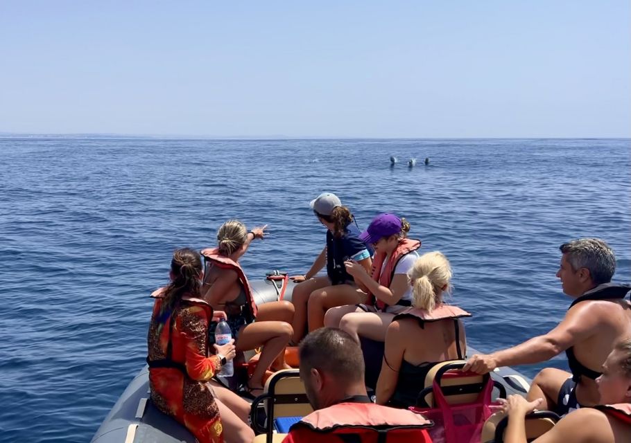 Lagoa: Dolphin Watching & Benagil Tour with Biologist Guide - Why this Lagoa tour pairs dolphins with Benagil Cave