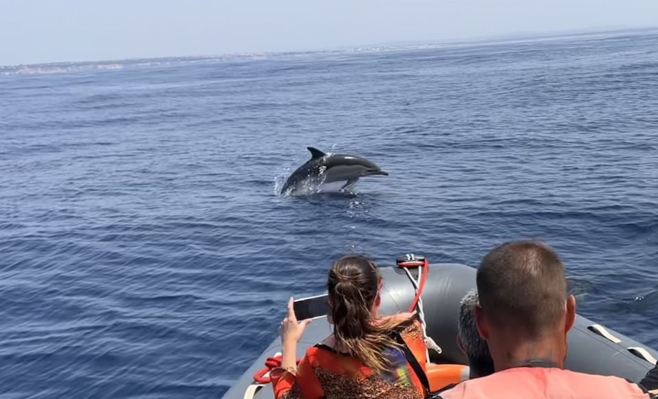 Lagoa: Dolphin Watching & Benagil Tour with Biologist Guide - Swimming stop in a calm bay: when you can actually get in