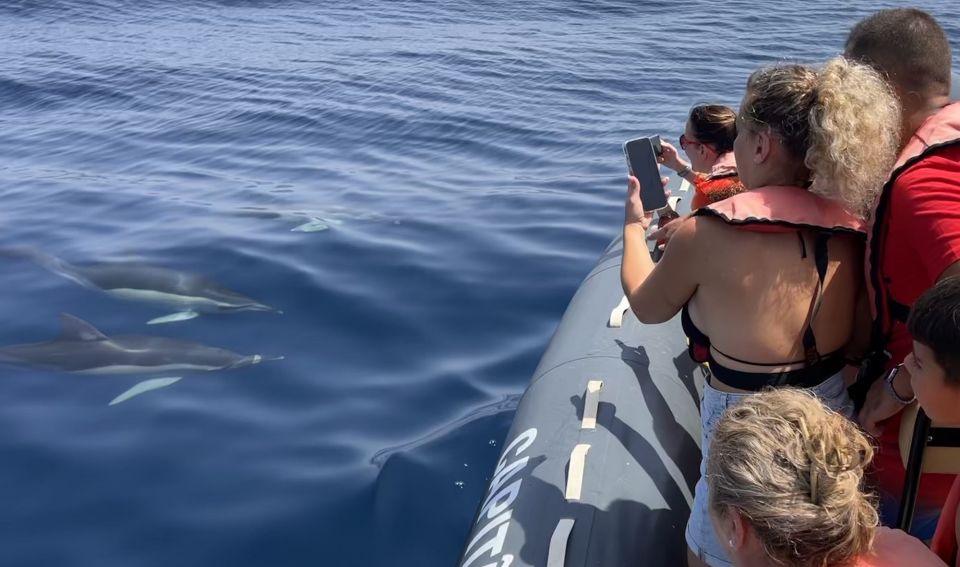 Lagoa: Dolphin Watching & Benagil Tour with Biologist Guide - Getting started at Capitão Nemo Algarve in Parchal
