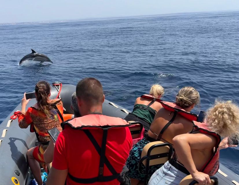 Lagoa: Dolphins Expedition with biologist guide on board - Lagoa Dolphin Watching: What the Experience Really Feels Like