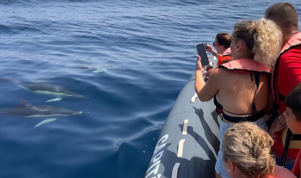 Lagoa: Dolphins Expedition with biologist guide on board - Safety Briefing and Life Jackets: Quick, Clear, and Not Overdone