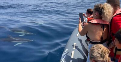 Lagoa: Dolphins Expedition with biologist guide on board - Your Starting Point at Capitão Nemo in Parchal