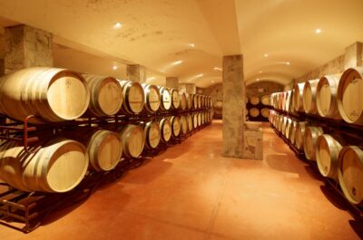 Lagoa: Guided Winery Tour and Local Wine Tasting - What Happens in 1.5 Hours: Winery Tour and Barrel Cellar