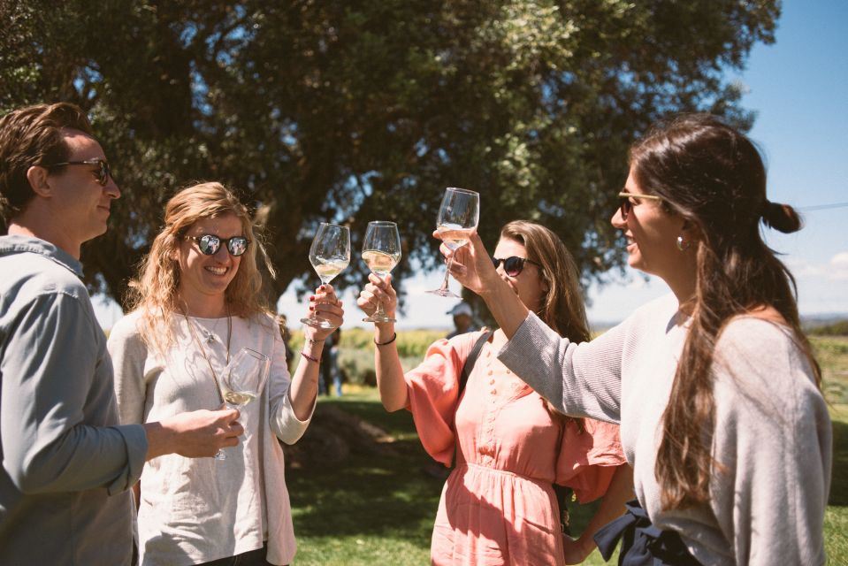 Lagoa: Vineyard Tour and Wine Tasting - Morgado do Quintão: Algarve wine tasting with vineyard views that feel personal