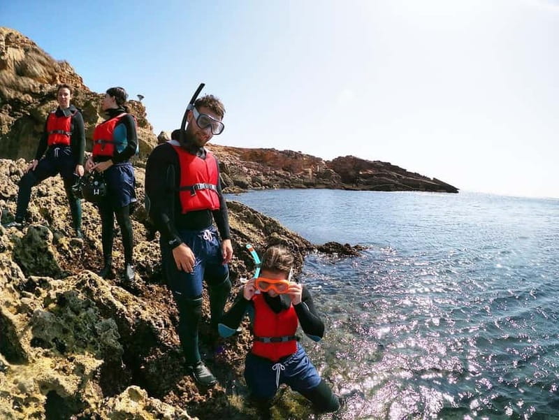 Lagos: Algarve Coasteering and Snorkeling Adventure - Key Highlights to Expect