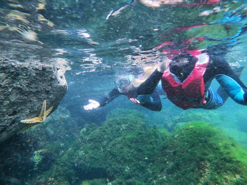 Lagos: Algarve Coasteering and Snorkeling Adventure - The Main Event: 3.5 Hours of Hiking, Climbing, Swimming, and Jumps