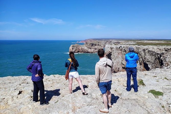 Lagos and Sagres - Private from Albufeira - Food stops that actually feel Portuguese