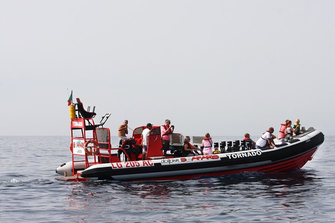 Lagos - Benagil Sea Cave Tour Seafaris - Speedboat Views Out of Lagos: What You’re Really Paying For