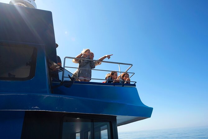 Lagos: Dolphins & Benagil Caves – Catamaran - Why a Lagos catamaran beats the fast-boat version