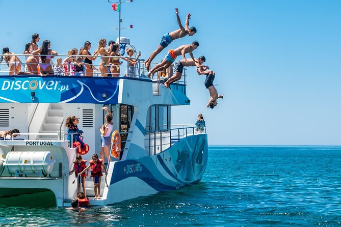 Lagos: Dolphins & Benagil Caves – Catamaran - The dolphin payoff: pods, babies, and even surprise sea life
