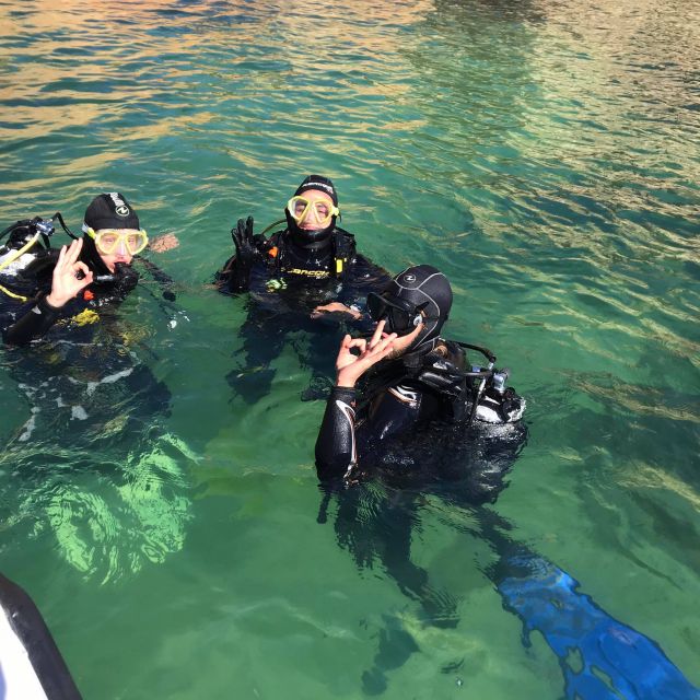 Lagos: Guided Scuba Diving Trip for Beginners - Price and Value: Is $135 Worth It in Lagos?