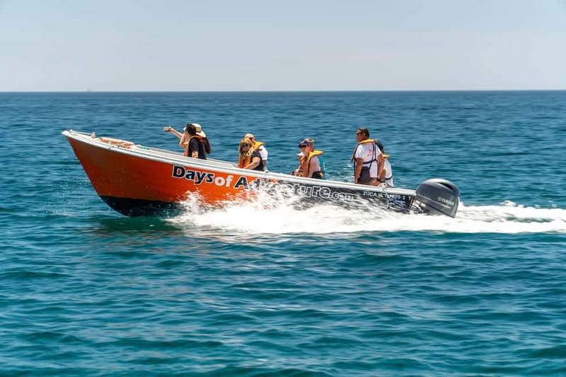 Lagos: Ponta da Piedade Caves Boat Tour - Price and value: $20 for 75 minutes that actually feel like doing something
