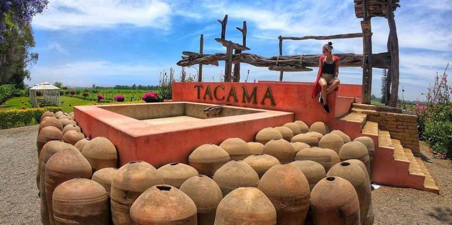 Lagos/Praia da Luz: Wine Tour, Tastings, Tapas, and Music - Who This Tour Suits Best (And Who Might Skip It)